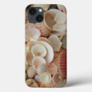 Recherche de plage de coquille électronique Collection
