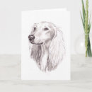 Zoek naar saluki kaarten Sighthound