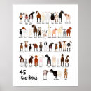 Recherche de goat posters Animals