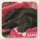 Recherche de verre chien de dessous de dessous de verres Labrador