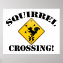 Zoek naar eekhoorn noot posters Gek
