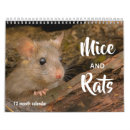 Zoek naar ratten kalenders Muizen