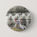 Recherche de agneaux badges Mouton