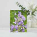 Recherche de bleu vert cartes postales Photographie