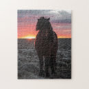 Recherche de chevaux puzzles Coucher de soleil