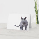 Recherche de chat bleu russe vœux cartes Mignon