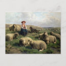 Recherche de berger de moutons cartes postales Agriculture