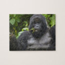 Recherche de trekker puzzles Afrique