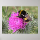 Recherche de chardon de art Abeilles