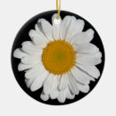 Zoek naar daisy ornamenten Tuin