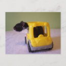 Recherche de hamsters cartes postales Drôle