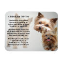 Recherche de terrier yorkshire magnets Yorkie