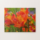 Recherche de péruvien puzzles Fleurs