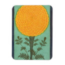 Recherche de album magnets Mughal