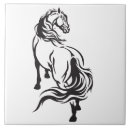 Recherche de cheval l carreaux Sauvage