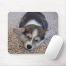 Recherche de corgi pembroke tapis souris Chien de la reine