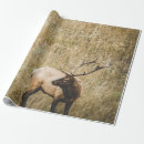 Zoek naar beautiful cadeaupapier Wild