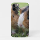 Recherche de rongeurs iphone coques Animal