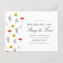 Recherche de marguerite sauvage cartes postales Été