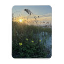 Zoek naar duinen magneten Strand