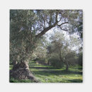 Recherche de olive magnets Vert