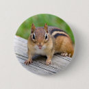 Recherche de tamia badges Animal