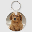 Recherche de marionnette porteclés Dog