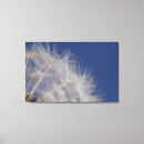 Recherche de croissance impressions sur toile Dehors
