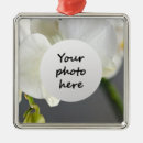 Recherche de orchidée ornements Floraison