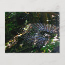 Recherche de orb posters Insecte