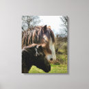 Recherche de poney impressions sur toile Animaux
