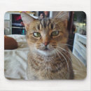 Zoek naar hond afbeelding muismatten Huisdier