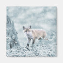 Recherche de petit bébé magnets Faune