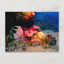 Recherche de mer de corail cartes postales Sous marin