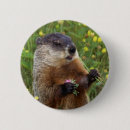 Recherche de marmotte badges Animal