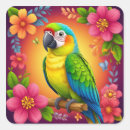Zoek naar papegaaien stickers Kleurrijke vogel