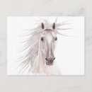 Recherche de crinière cartes postales Équestre