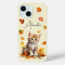 Recherche de feuille orange coques Chute
