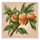 Recherche de vintage fruit posters Fruits vintages