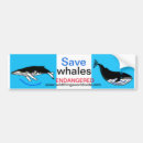 Recherche de baleines voiture autocollants Animal