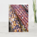 Recherche de gourmet vœux cartes Petite entreprise