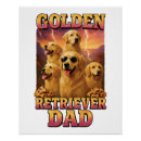 Recherche de chiot golden retriever posters Chiens