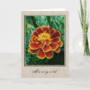 Zoek naar marigolds kaarten Bloemen