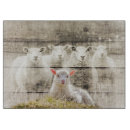 Recherche de moutons planches à découper Agneau