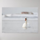 Zoek naar zwaan posters Winter