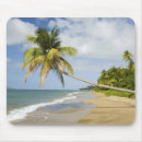 Recherche de mer des caraïbes tapis souris Palmier