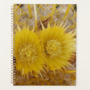 Recherche de vibrant photographie Nature