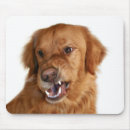 Recherche de touchez tapis souris Animal