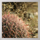 Recherche de lustre posters Rouge