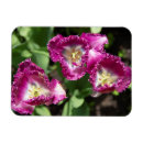 Recherche de mignonnes magnets Anniversaire